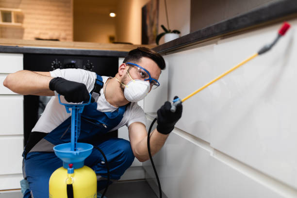 Best Emergency Pest Control  in Lake Hamilton, FL