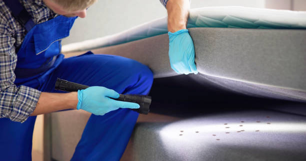 Best Bed Bug Extermination  in Lake Hamilton, FL