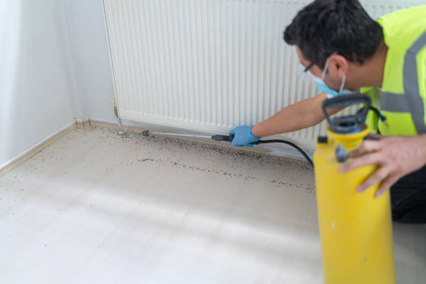 Pest Control Cost in Lake Hamilton, FL