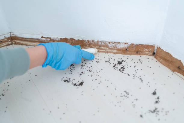 Best Wasp Removal Services  in Lake Hamilton, FL